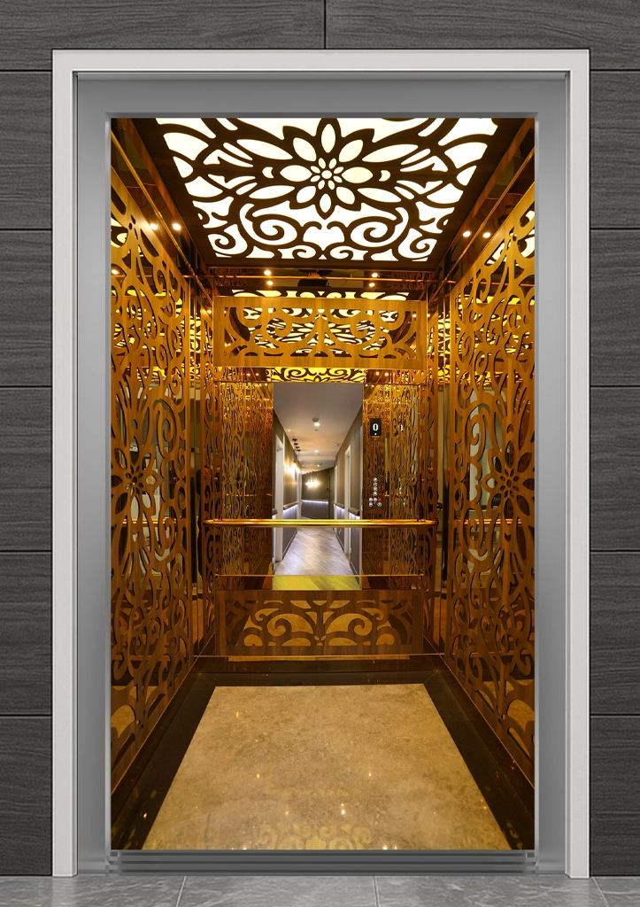 MESI 111 Asansör Kabini